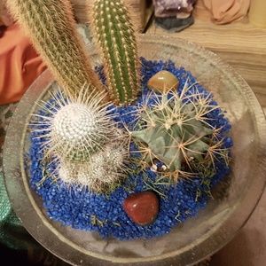 Meet your Posher, Jocelle